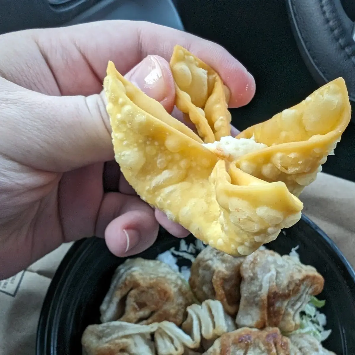 炸雲吞 Fried Wonton 8 Pork